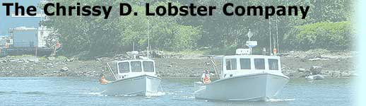 F/V Chrissy D. and Fortunate Son returning from sea.